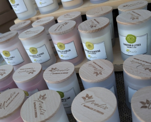 558668921_1419212106872974_2643348445864868494_n